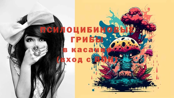 мдпв Алзамай