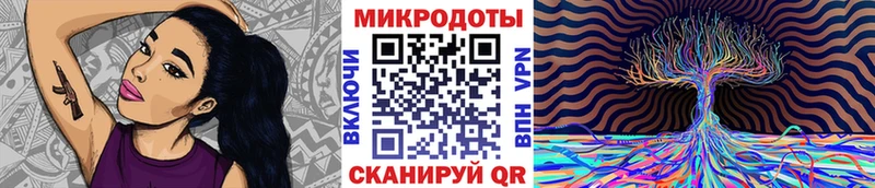 Галлюциногенные грибы Psilocybe Канаш