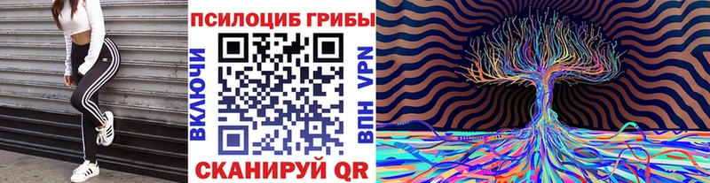 Галлюциногенные грибы Psilocybine cubensis  как найти закладки  Канаш 