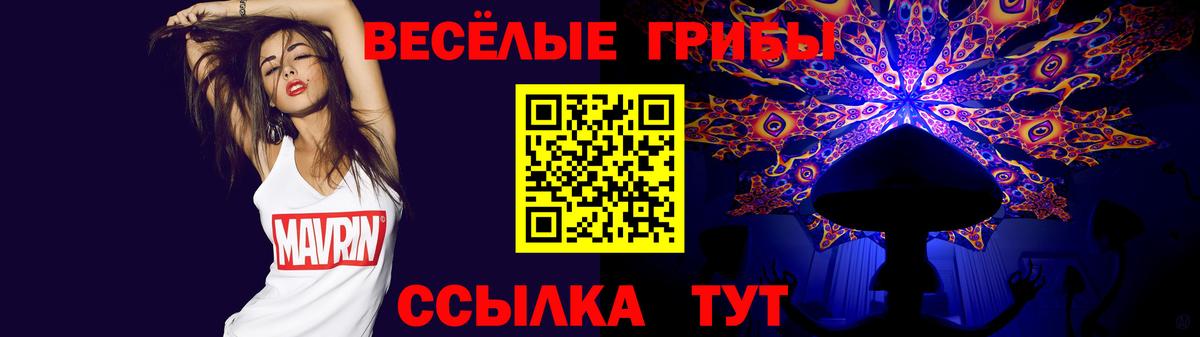 Галлюциногенные грибы Psilocybe Канаш